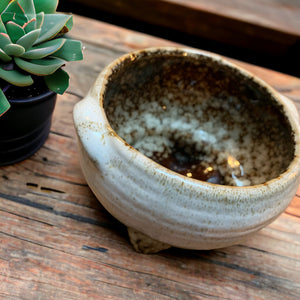 ceramic cactus dish
