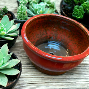 red ceramic cactus planter