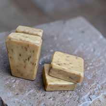 Load image into Gallery viewer, Cassia Root glycerin soap bars with warm spiced botanical scent handcrafted artisan soap Vintage Alchemy