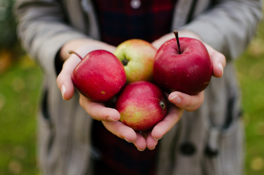 My Favorite Apple Muffin Recipe