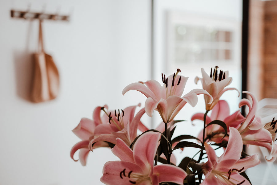 Embrace Elegance: Adding Lilies to Your Garden