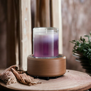 wax melter and candle warmer