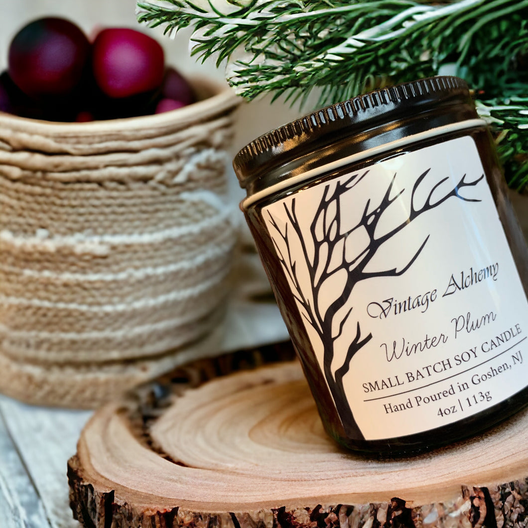 winter plum soy candle