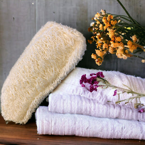 Loofah Cleaning and Dish Sponge