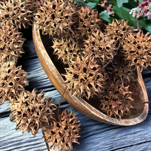 Load image into Gallery viewer, sweet gum ball seed pods
