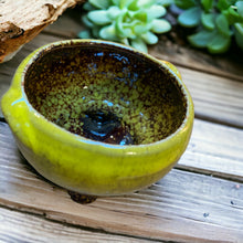 Load image into Gallery viewer, rustic draining cactus dish
