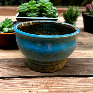 blue ceramic cactus dish