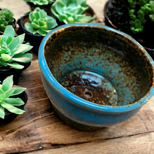 Load image into Gallery viewer, blue ceramic cactus bowl
