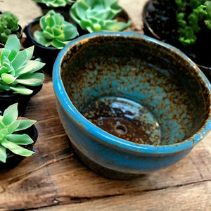 blue ceramic cactus bowl