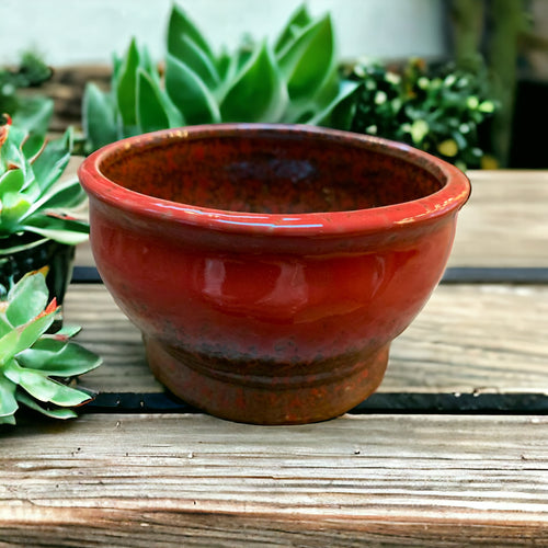 red ceramic cactus dish