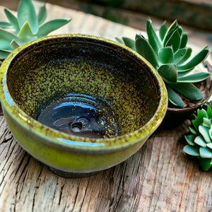 Rustic Cactus Planter | Succulent Dish | Chartreuse Lichen