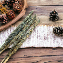 Load image into Gallery viewer, woodland trail botanical incense sticks
