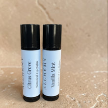 Load image into Gallery viewer, Vanilla Mint and Citrus Grove botanical lip balms on limestone surface

