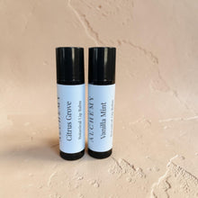 Load image into Gallery viewer, Citrus Grove and Vanilla Mint botanical lip balms in black tubes on warm textured plaster background by Vintage Alchemy
