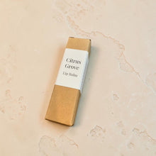 Load image into Gallery viewer, Citrus Grove botanical lip balm in minimal kraft box packaging on warm textured plaster surface by Vintage Alchemy
