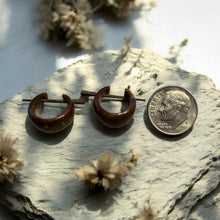 Load image into Gallery viewer, Wooden hoop earrings on a rock with a coin for scale, surrounded by dried flowers.
