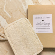 Load image into Gallery viewer, Vintage Alchemy natural loofah kitchen sponge with kraft packaging on warm stone surface, plant-based dish scrubber for sustainable kitchen cleaning
