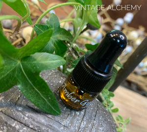 Perfume Oil | Amber Gypsy