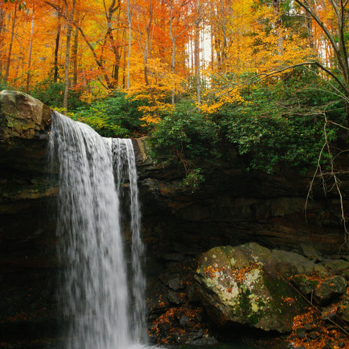 waterfall in fall with turning leaves